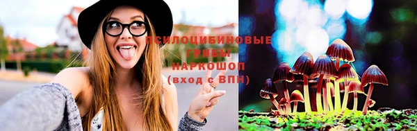 бошки Алексеевка