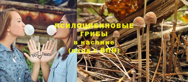 амф Абдулино