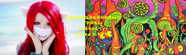 бошки Алексеевка
