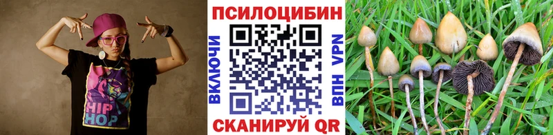 Псилоцибиновые грибы Cubensis  Нелидово 